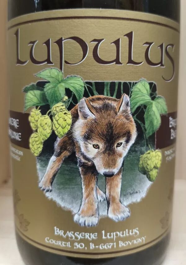 75cl Brune 8,5°  Brasserie Lupulus - Belgique